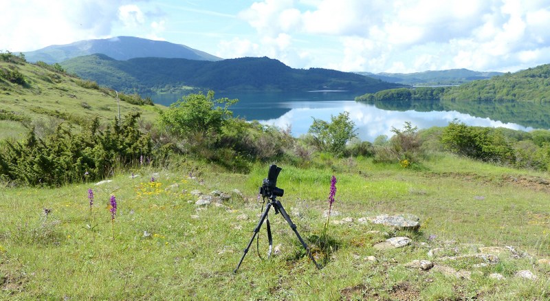 Il lago di Campotosto, orchidee, maltempo eschiarite! maggio/giugno 2023.